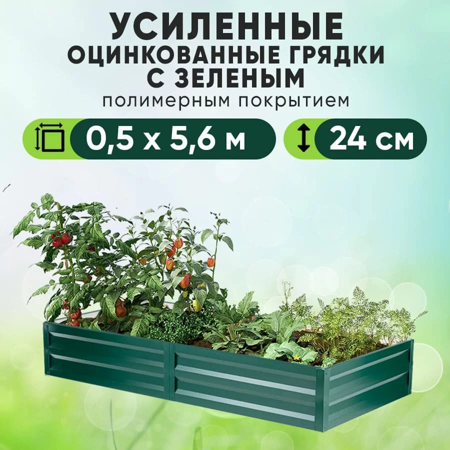 Зеленая усиленная грядка (0,5 х 5,6)